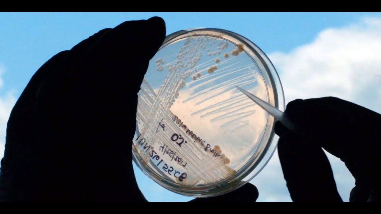 Supporting Research and Discovery at MIT