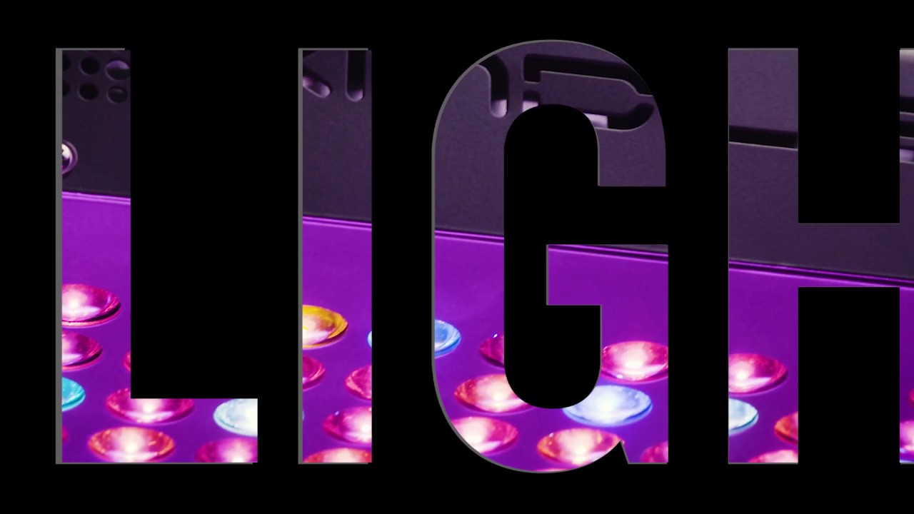 The World's Best LED Grow Lights