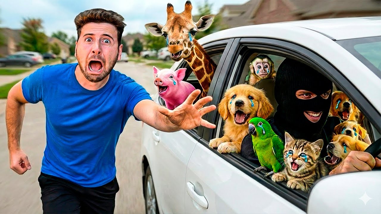 RESGATEI OS ANIMAIS DOS MAIORES YOUTUBERS DO MUNDO!