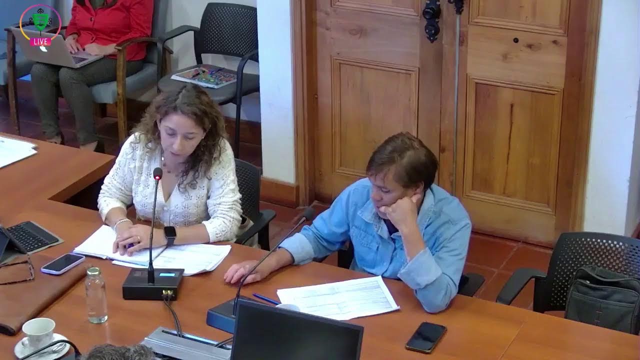 CONCEJO MUNICIPAL SESIÓN EXTRAORDINARIO N° 17