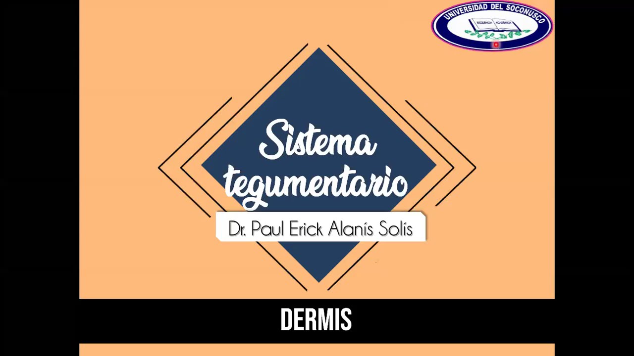 Piel 3 - Dermis