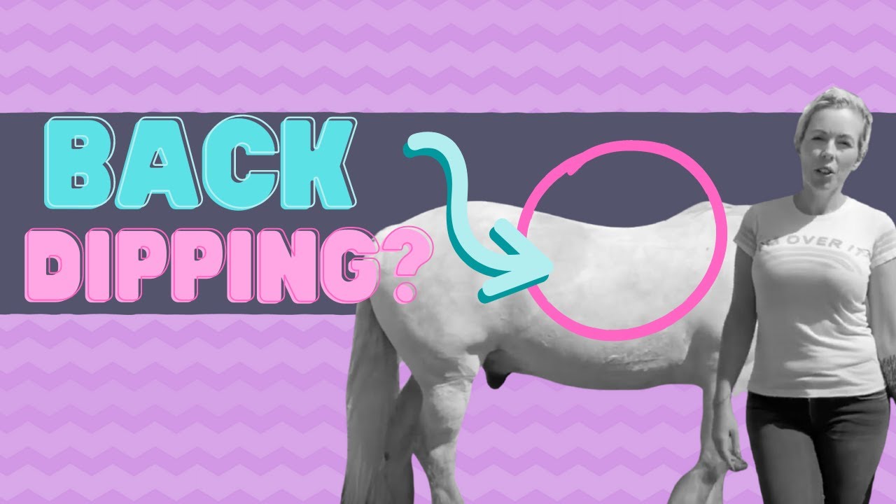 HELP! My horse’s back is starting to dip and my saddle doesn’t fit. Some top tips to help!