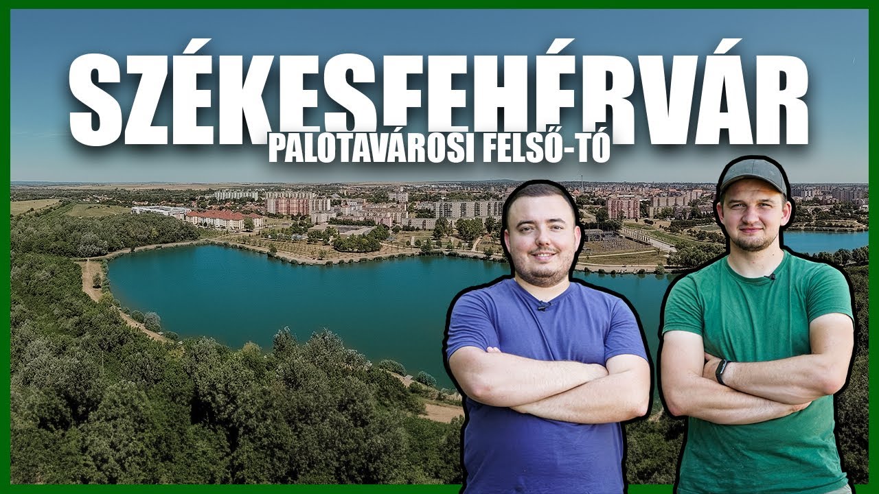 Minden percben egy ponty 🐟 Palotavárosi felső-tó 🌅 Székesfehérvár 🏙️  @ViziVitezek 🎣 6. rész