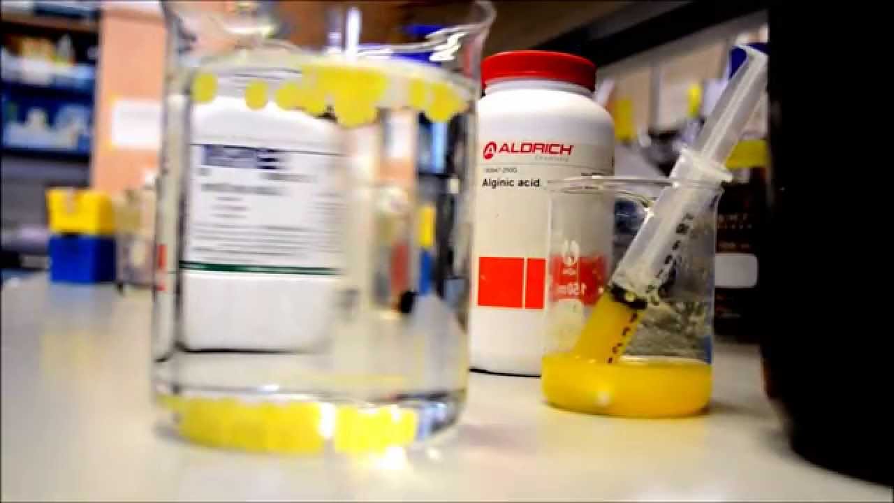 Encapsulation with alginate