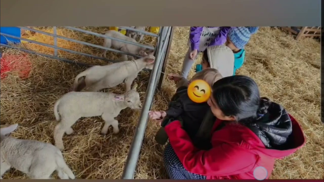 Farm Visit with Toddlers| Learning About Animals Through Outdoor Exploration|Old McDonald had a Farm