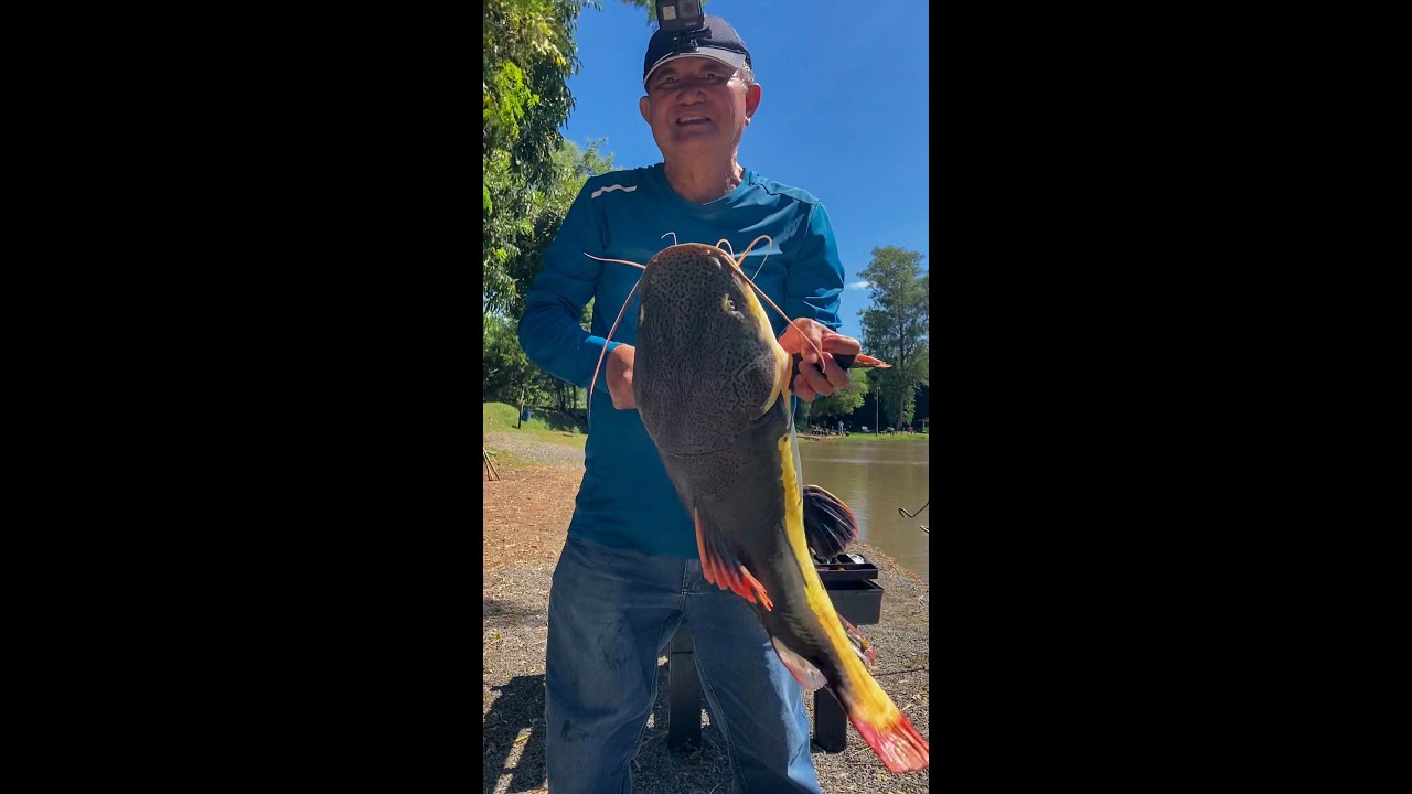 Dia de pesca! Muita emoção!  Participação de pescadores, muitos peixes, top!