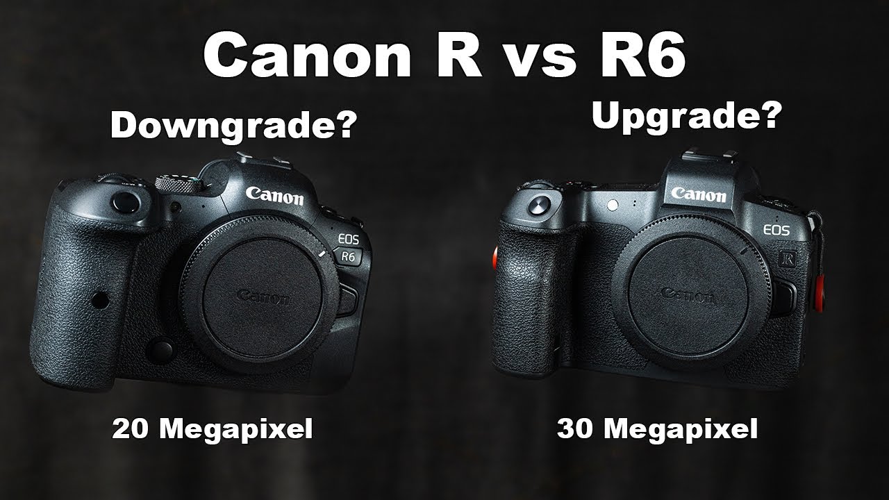 Canon EOS R6 против R: 20-мегапиксельные фотографии вместо 30-мегапиксельных? Видео? Полный сравн...