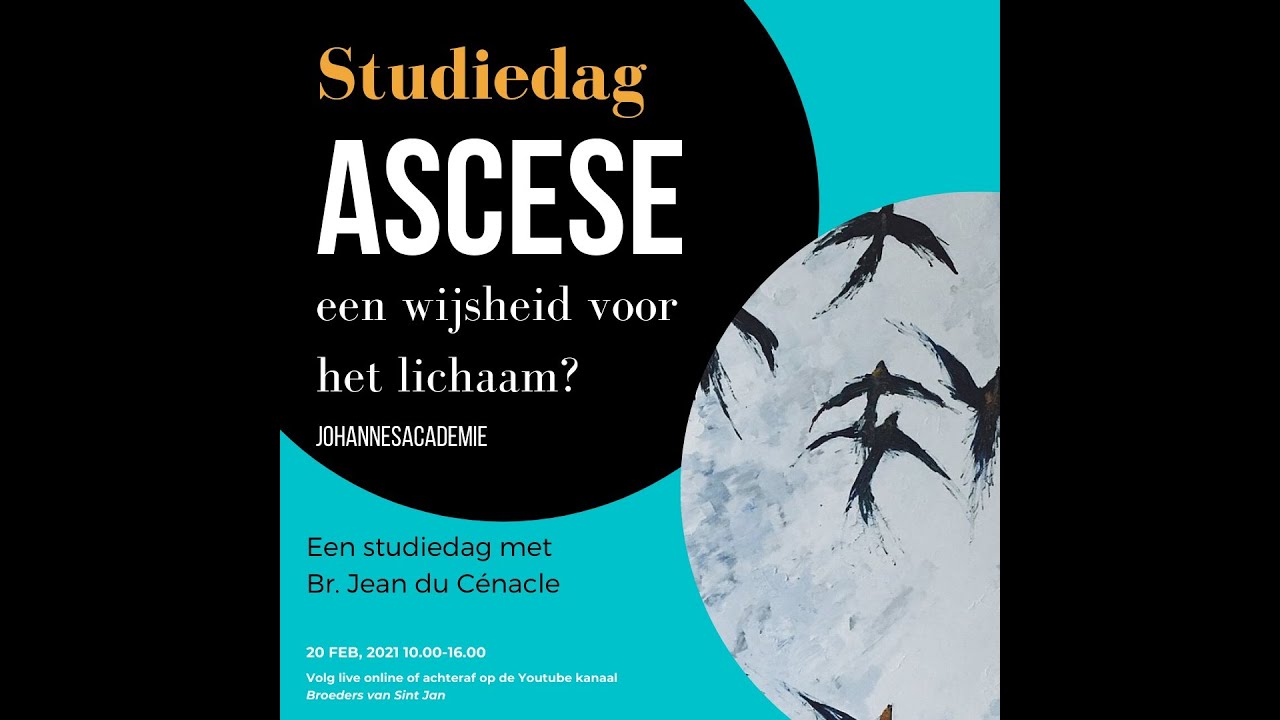 Studiedag  