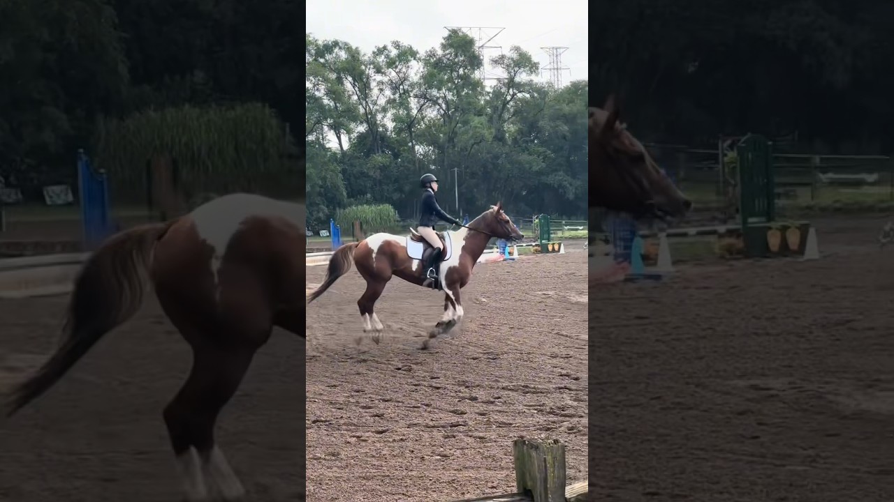 Riding tn! 
