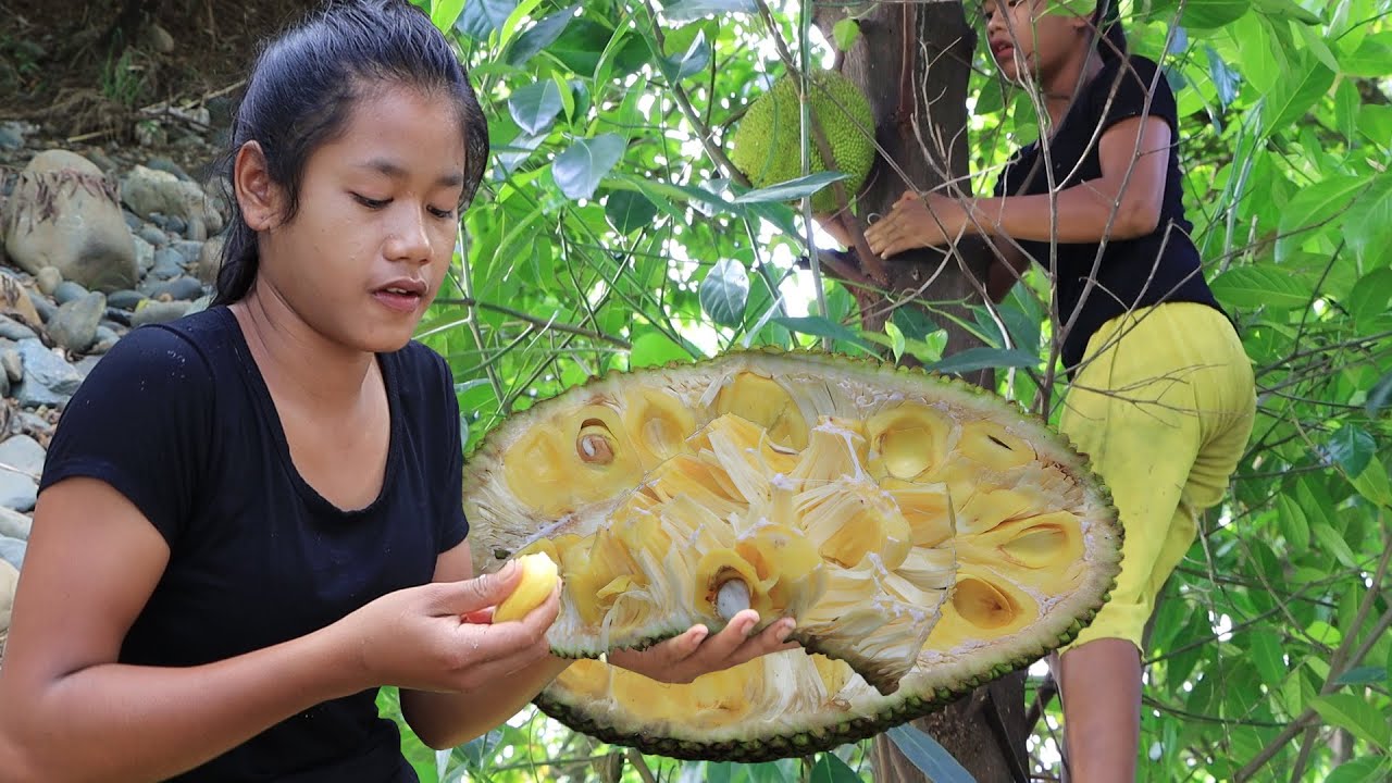 Survival skills in the forest - Find meet Ripe jackfruit for Food & Show eating delicious
