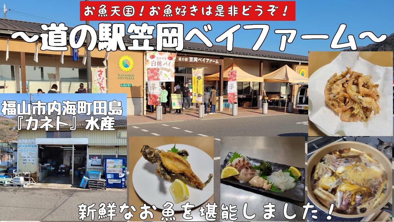 【必見！】お魚好きにはたまらない！岡山県笠岡市 『道の駅 笠岡ベイファーム』、景色最高！広島県福山市『カネト水産』