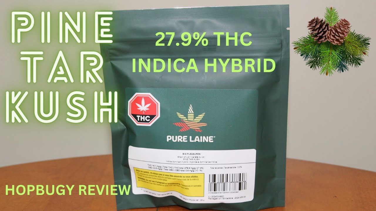 Pine Tar Kush Big Pleasures Pure Laine Indica Hybrid 27.9% THC Pot Review