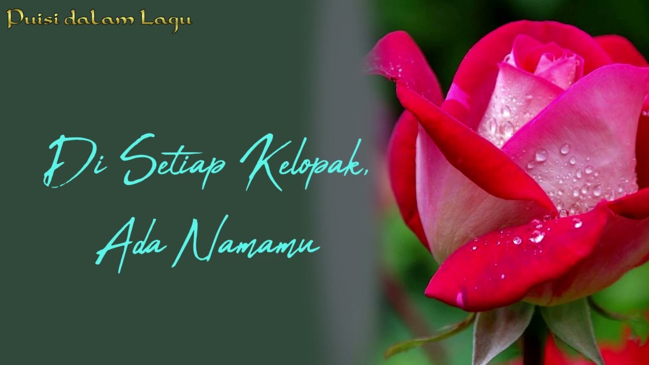 Di Setiap Kelopak, Ada Namamu -- Puisi dalam Lagu