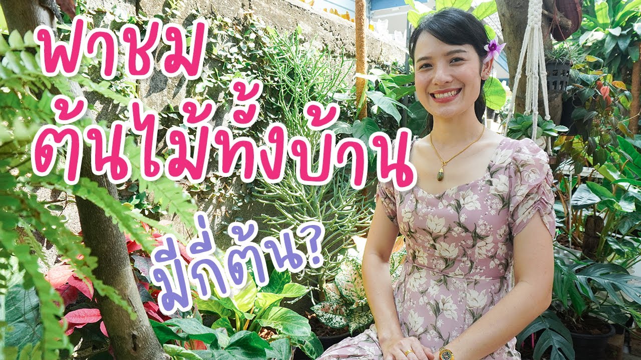 พาชมต้นไม้ทั้งบ้าน มีกี่โซน กี่ต้น ดูแลแบบใด #HB101