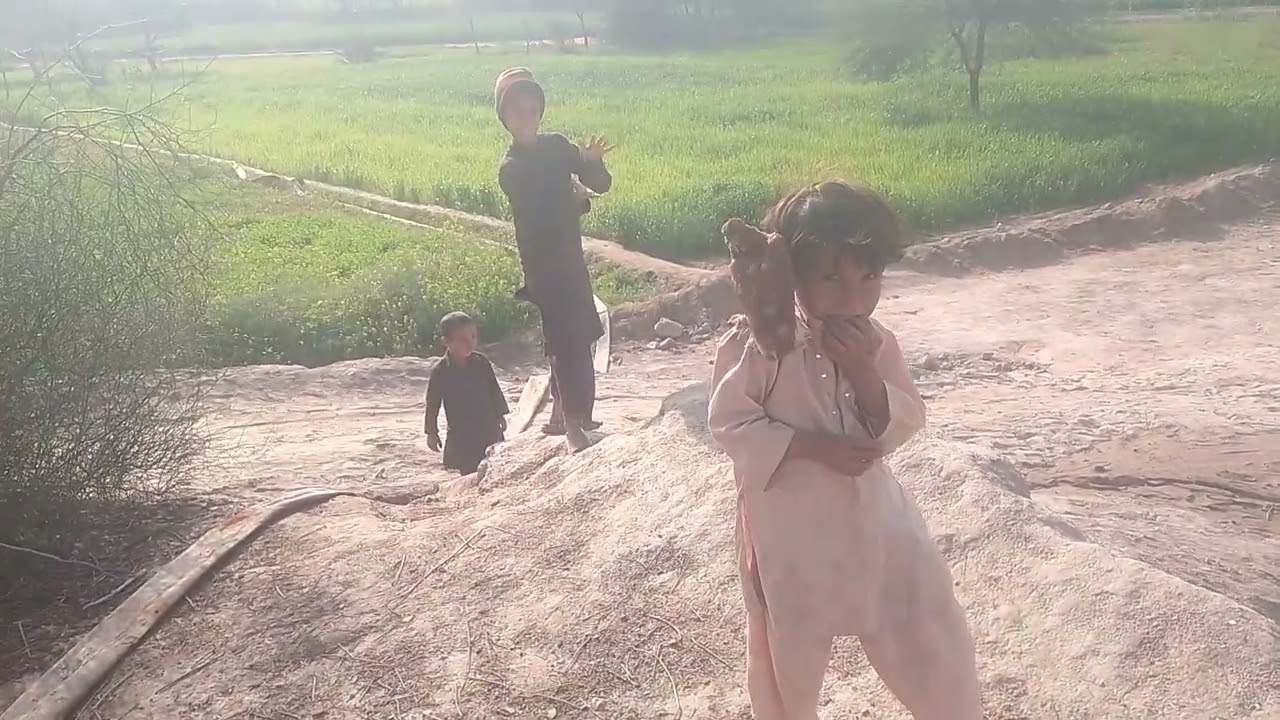 قاصد پرواز کیسے کرتا ہے 