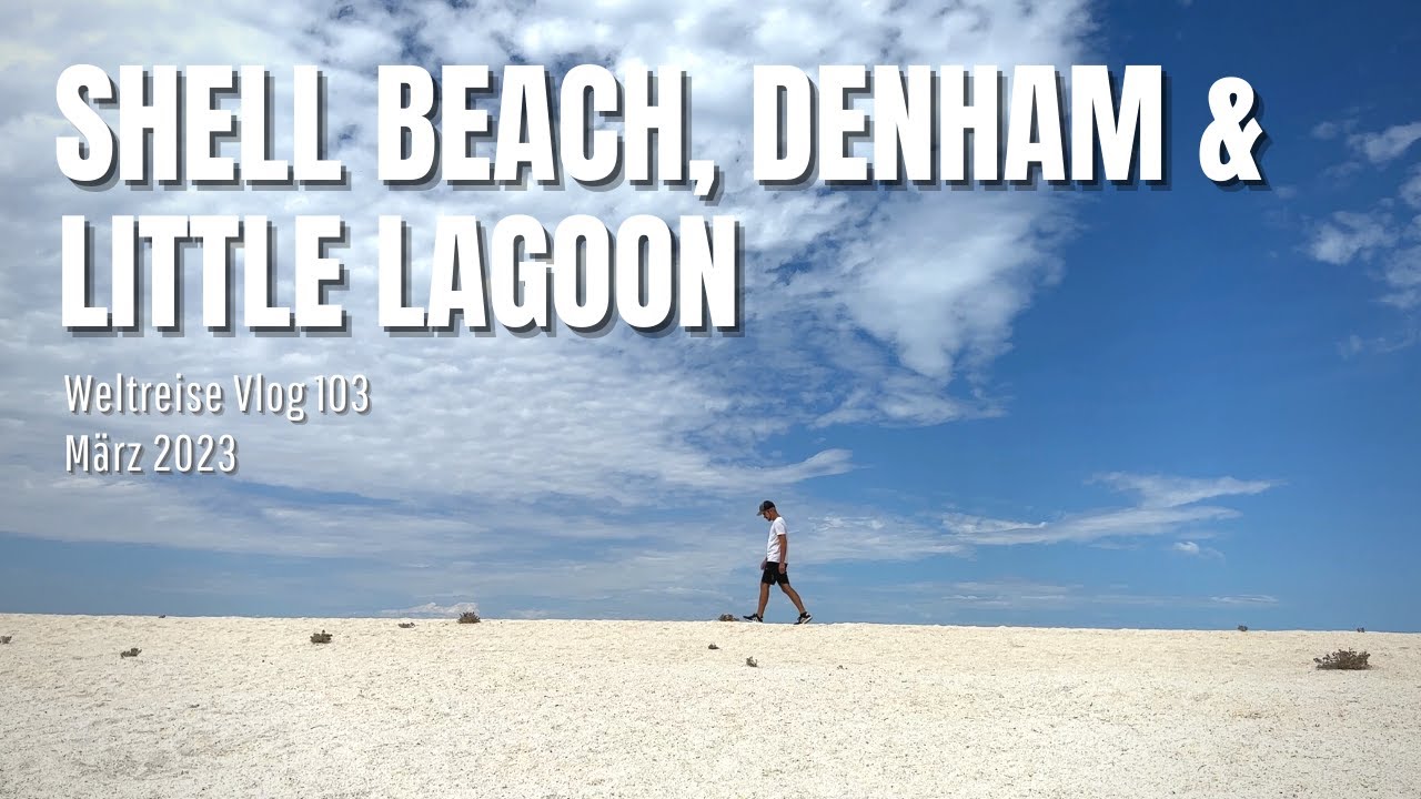 Shell Beach, Denham & Little Lagoon | Australien &bull; Weltreise Vlog 103