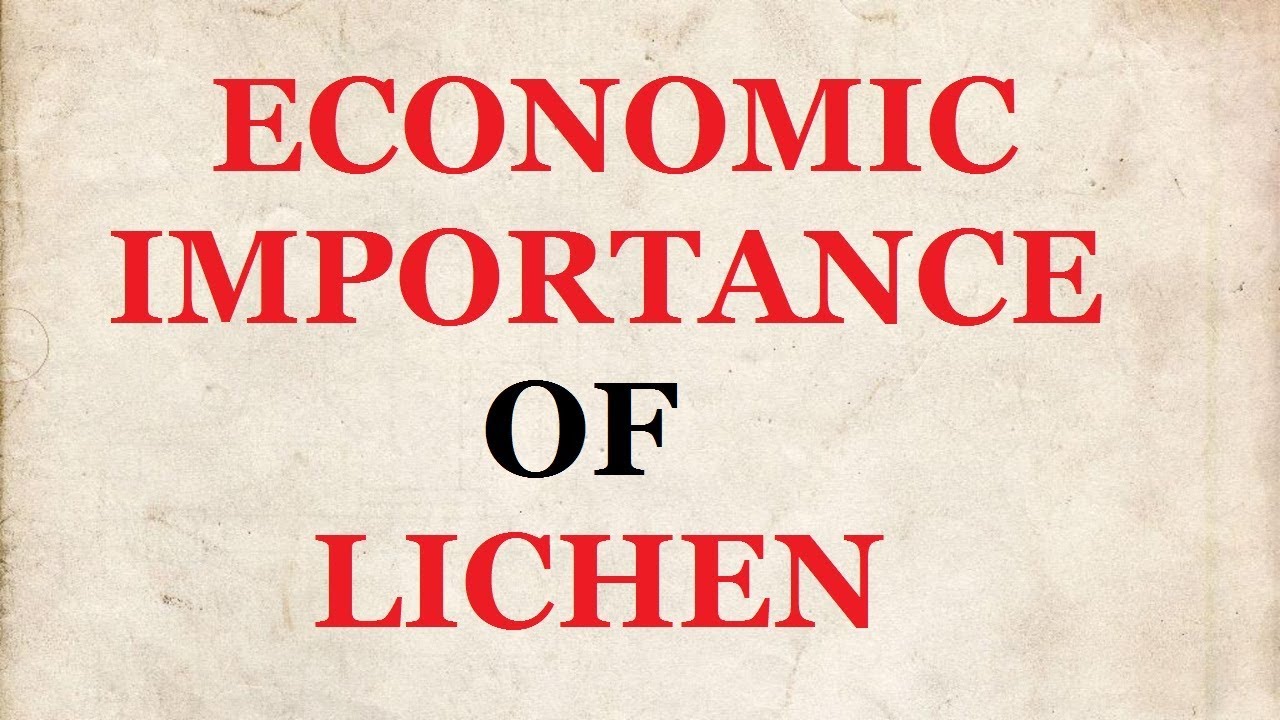 Economic Importance of Lichens | लाइकेन का आर्थिक महत्व | Hindi