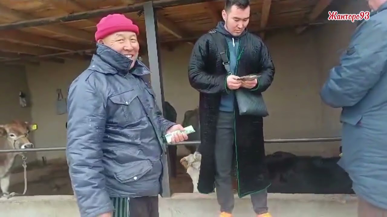 Бекиш аке Самурайды сатты 