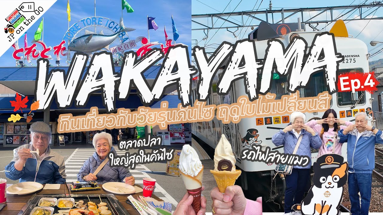 วาคายามะครั้งแรก! 🚃รถไฟแมวทามะ + ตลาดปลาใหญ่สุดในคันไซ | Wakayama, Kansai Autumn ep.4