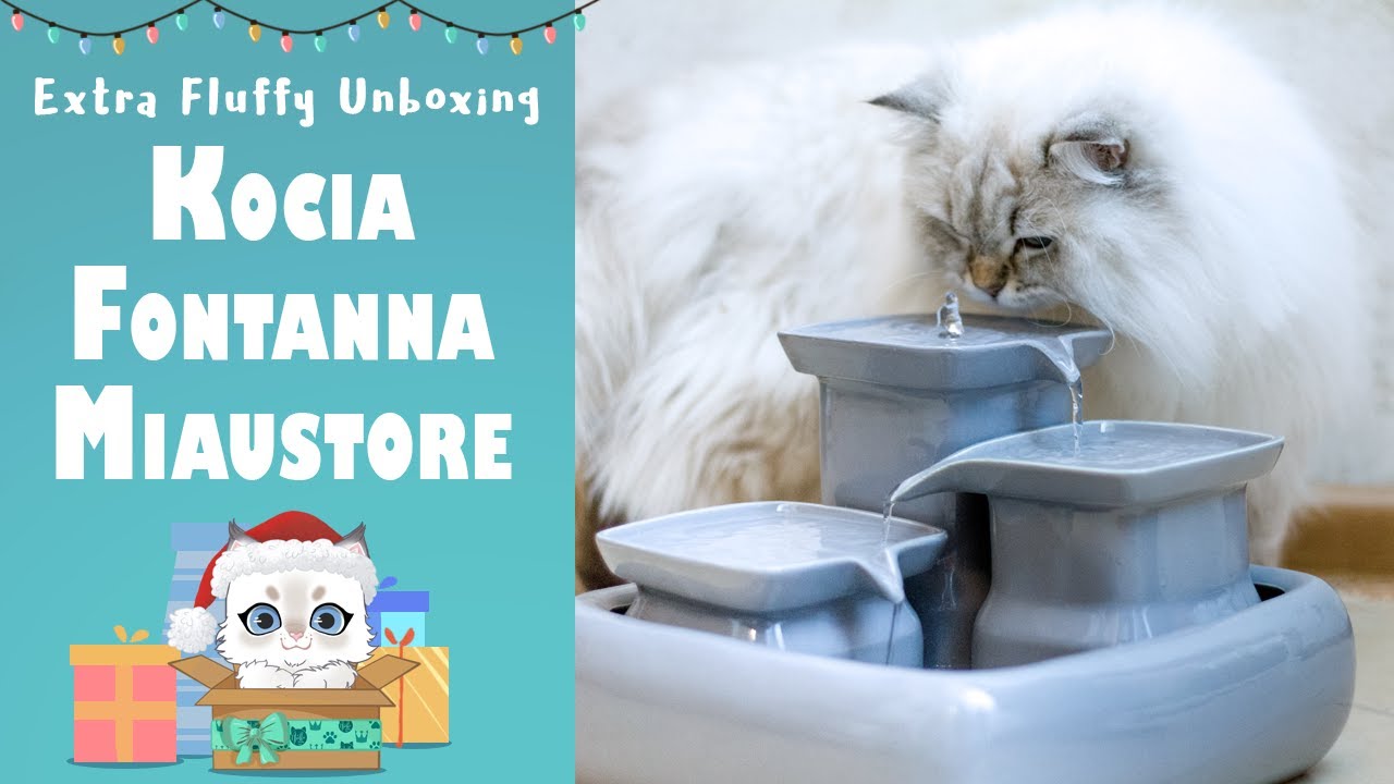 Ceramic cat water fountain Miaustore 😺 Extra Fluffy Unboxing 🎁