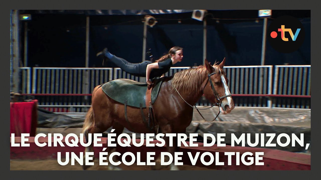 Le cirque &eacute;questre de Muizon 1/4 : Cheval Art Action, une &eacute;cole de voltigeurs