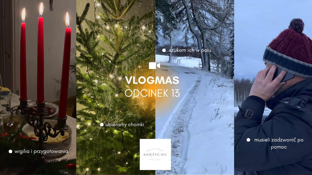 ODCINEK 13 | MUSIELI ZADZWONIĆ PO POMOC | SPÓŹNIONE PRZYGOTOWANIA DO WIGILII🎄☃️🎅🏼❄️