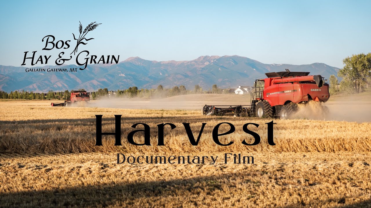 Something Deeper | A Montana Harvest Story