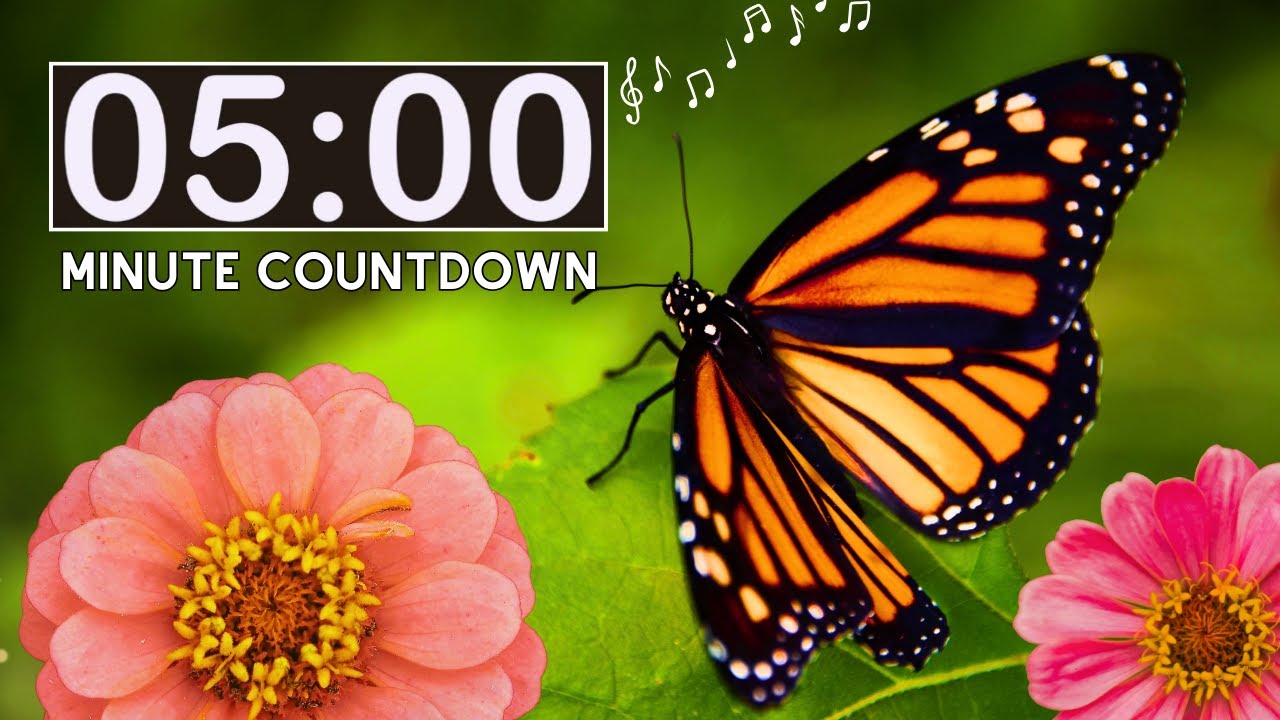 Spring Nature Butterflies | 5 Minute Countdown Kids Timer | Spring Insects | Classroom Management