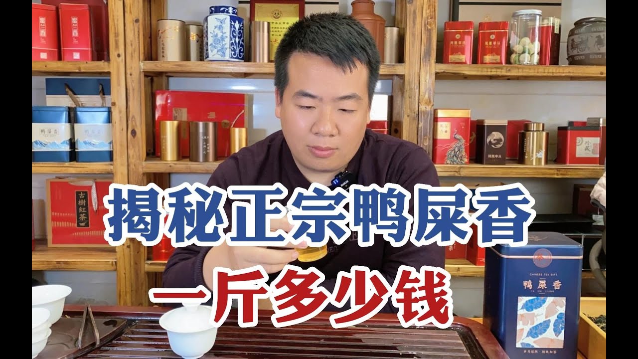 揭秘“网红鸭屎香”价格内幕，正宗鸭屎香一斤多少钱？别再掉坑了