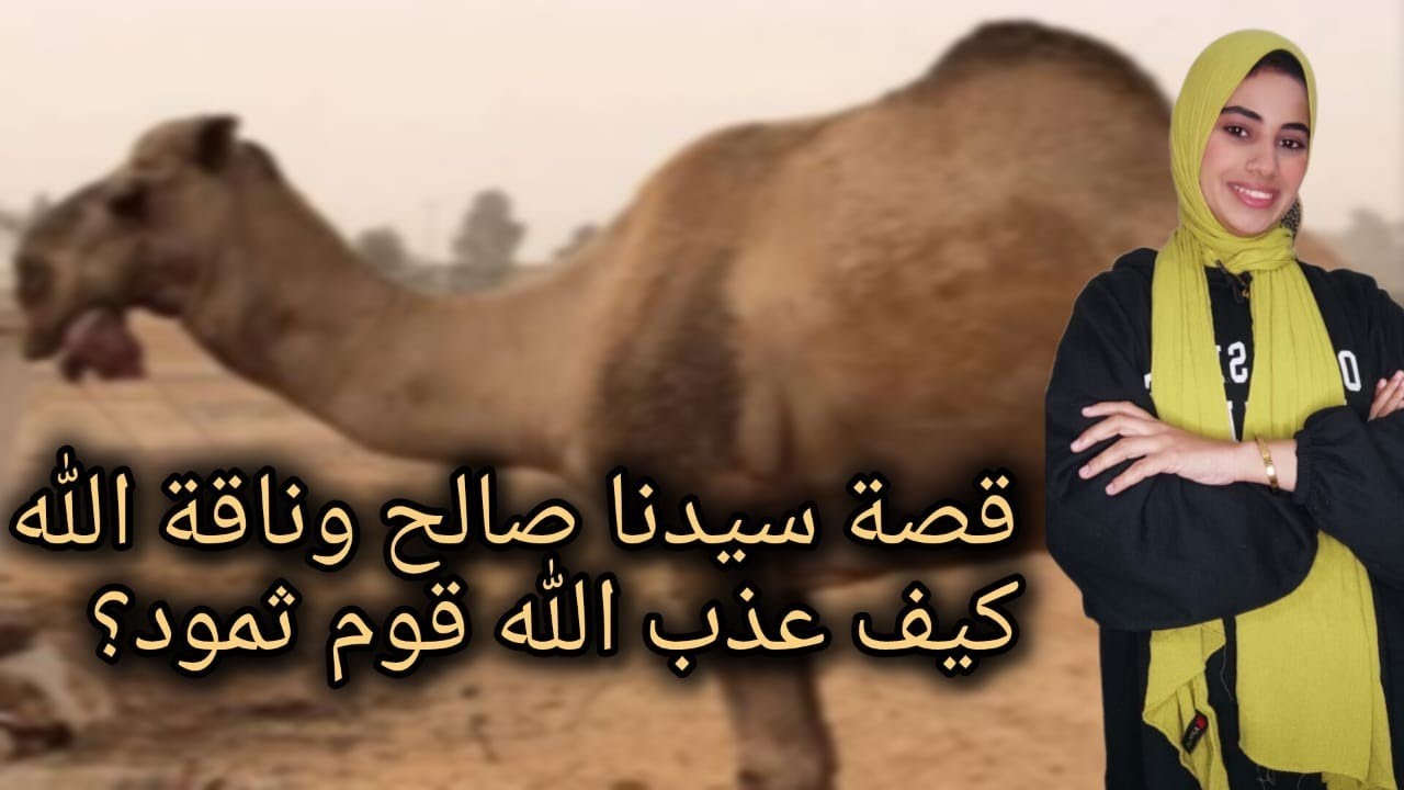 قصة سيدنا صالح ورحلته مع قوم ثمود