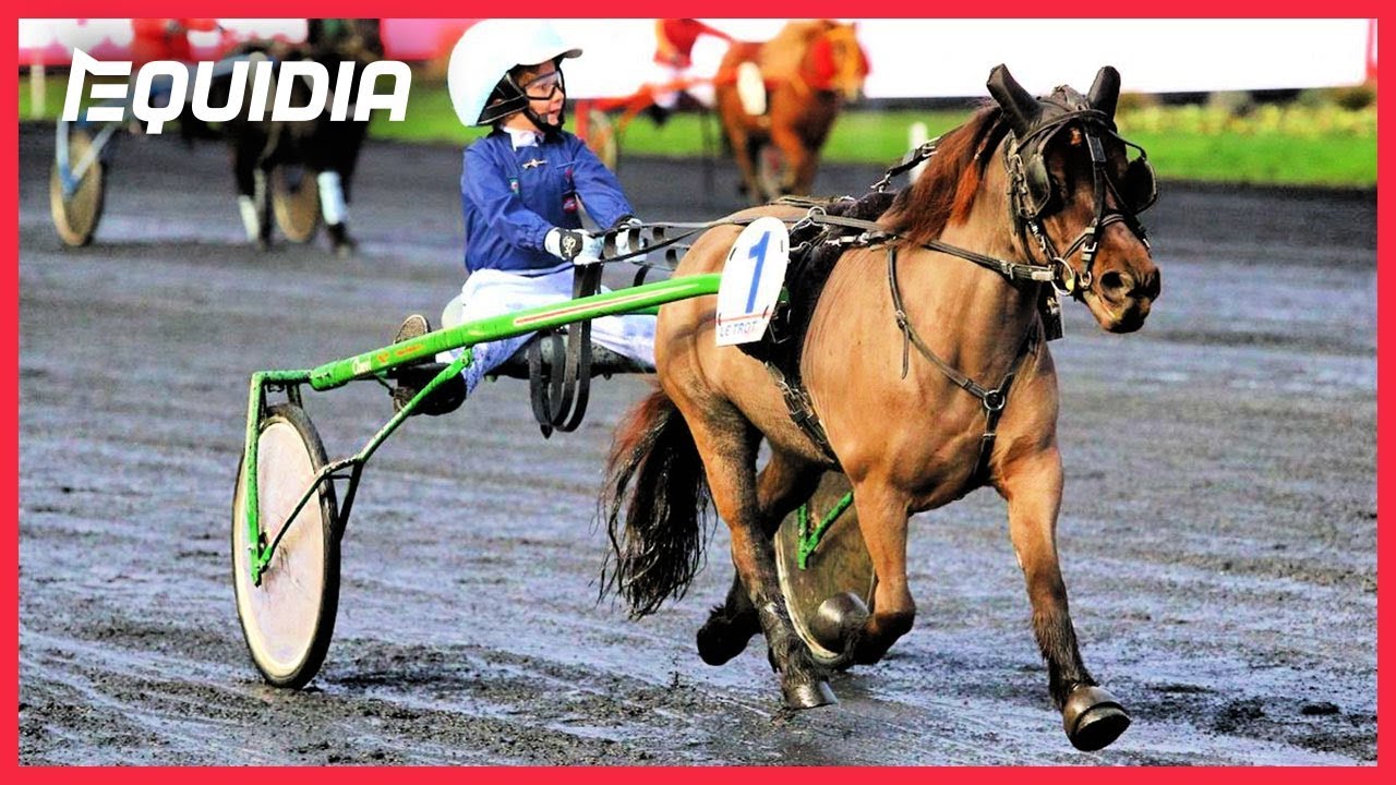 LES TROTTEURS LES + MIGNONS ! | Championnat de France de Trot à Poney 2018