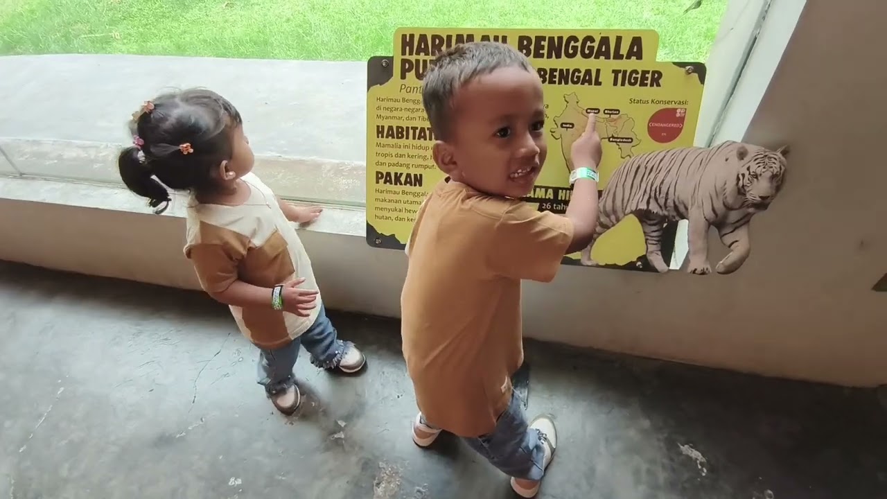 SYAUQILLA - Liburan ke Lembang Park and Zoo