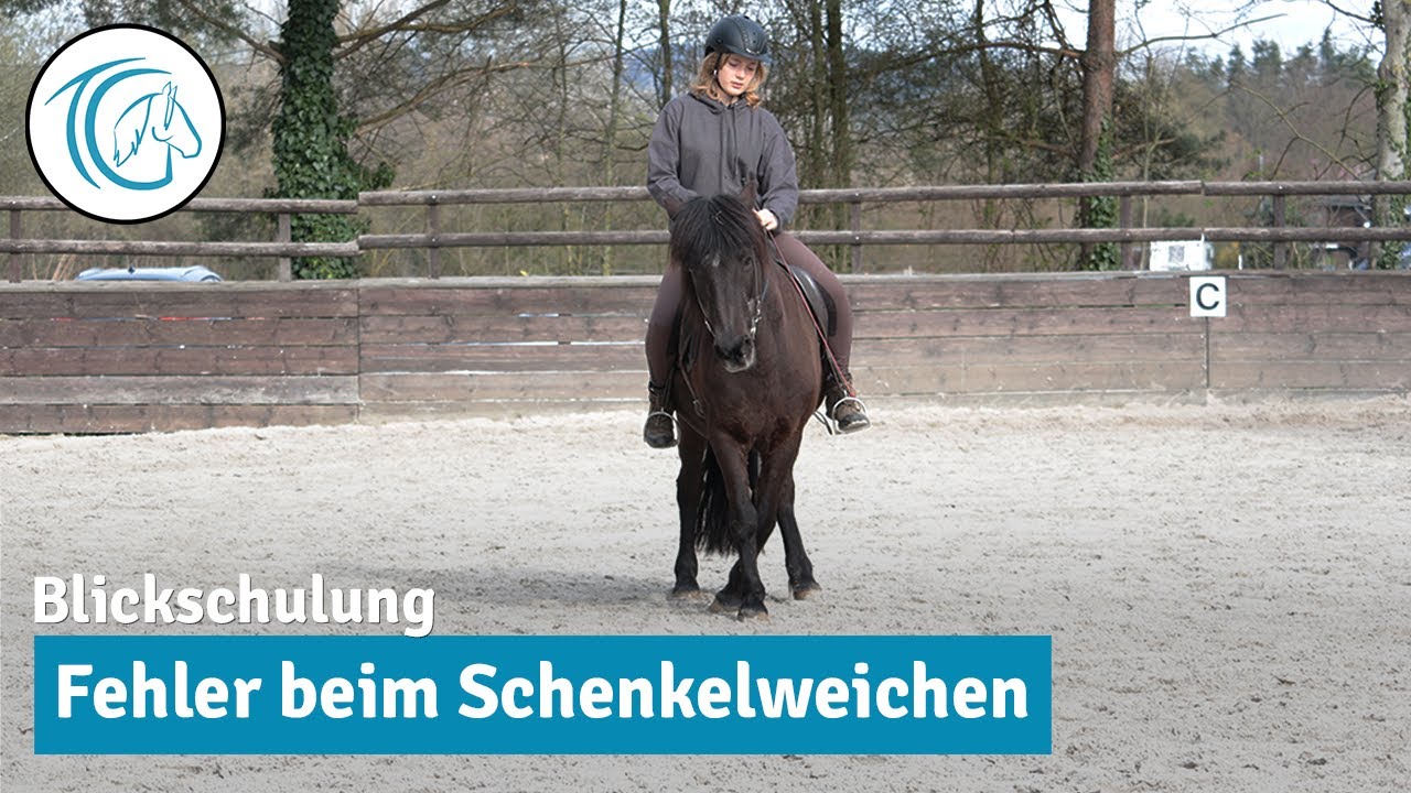 Schenkelweichen - H&auml;ufige Fehler | Blickschulung in den Seiteng&auml;ngen