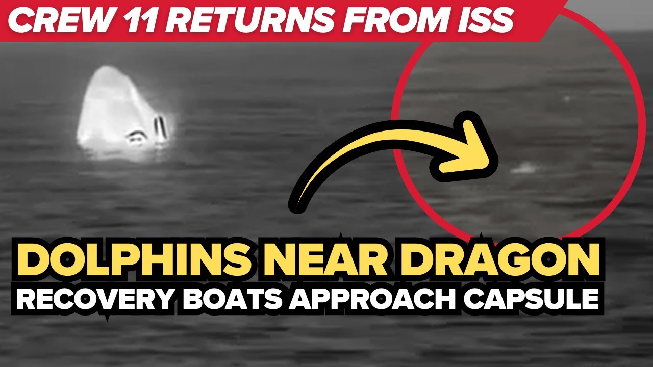Crew-11&rsquo;s ride home: Dolphins visit splashdown site, 10.5-hour return