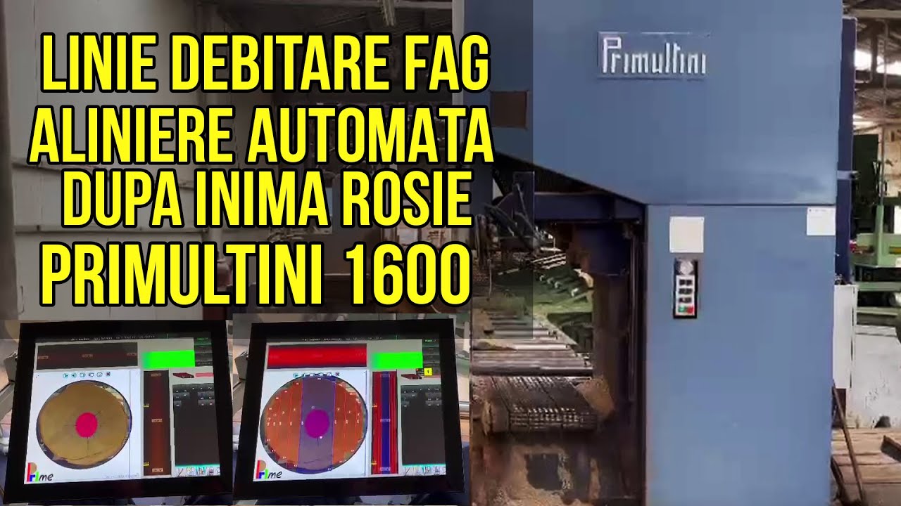 Linie debitare busteni fag Primultini 1600 cu aliniere dupa inima rosie