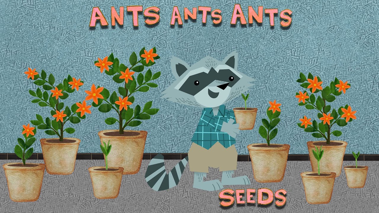 Seeds (OFFICIAL AUDIO) - Ants Ants Ants