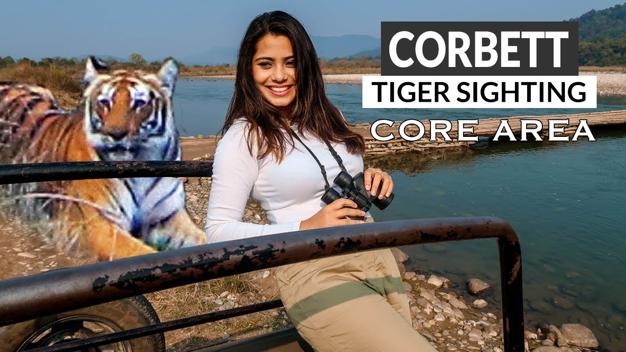 Jim Corbett National Park - How to Book Tiger Safari in Core Dhikala Zone - Budget Discussion in End