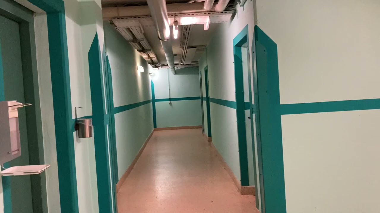 Keine Wiederholung 1972 Thyssen Aufzug in Pharao-Haus in München Fritz-Meyer-Weg 55