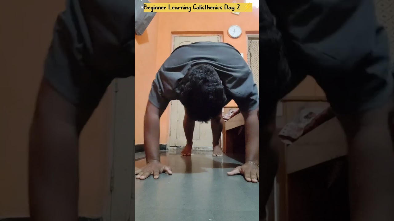 Beginner Learning Calisthenics: Day2 Vlog