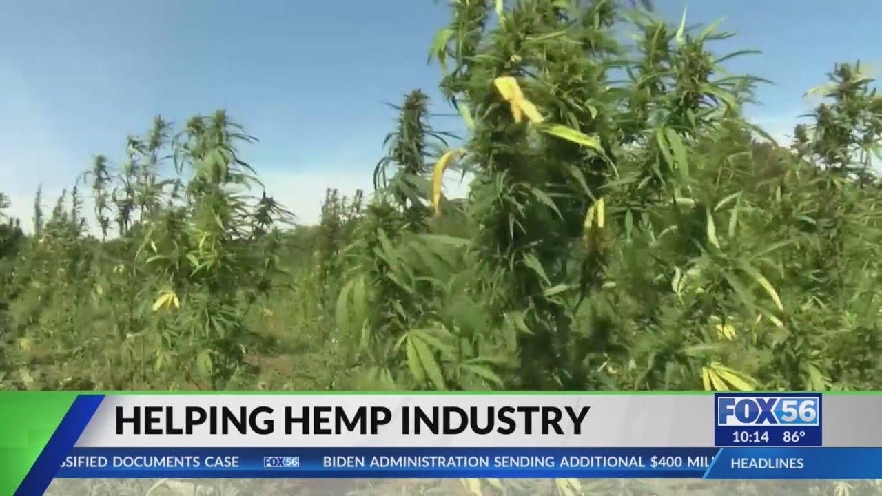 Kentucky lawmakers discussing issues holding hemp markets back