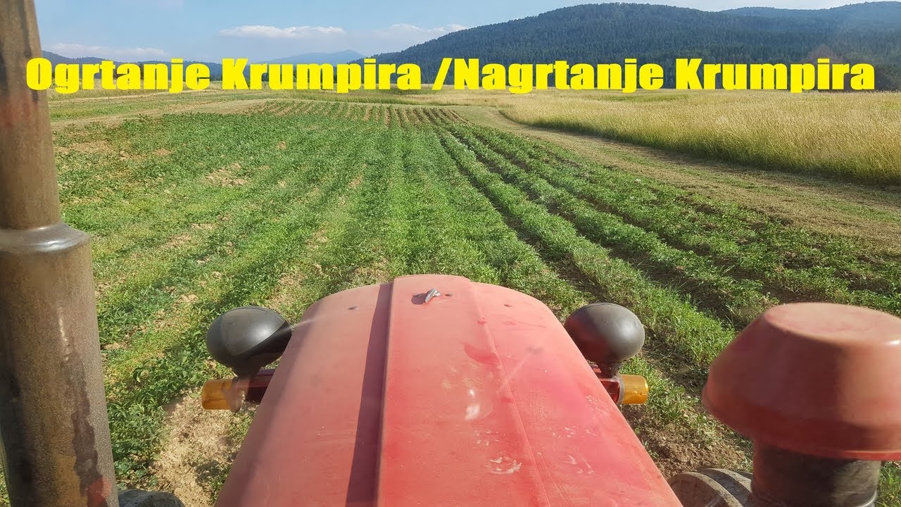 Ogrtanje Krumpira 👉 Nagrtanje Krumpira 👉 Zagrtanje Krumpira