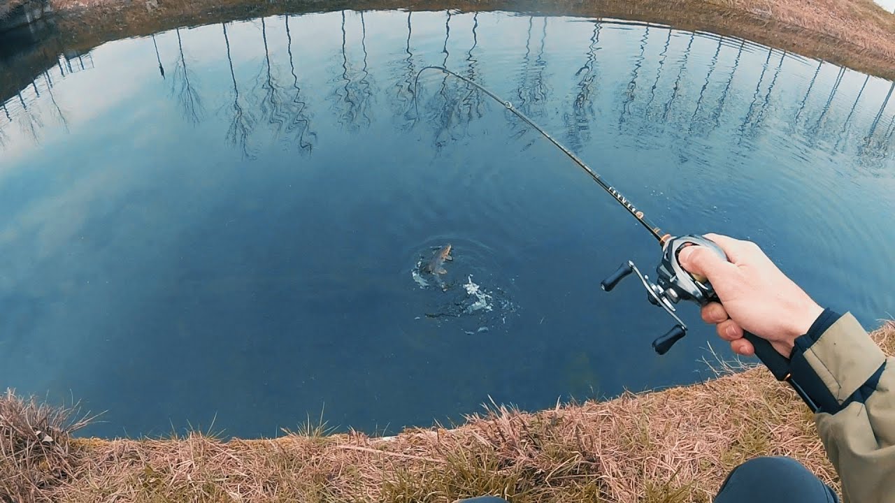NON solo TROTE con il BLACK MINNOW - PESCA in acque 