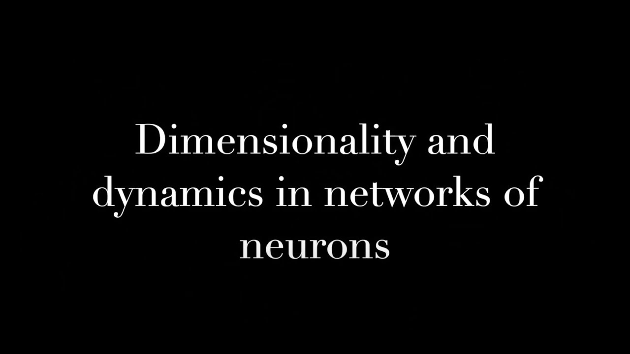 Dimensionality and dynamics in networks of neurons