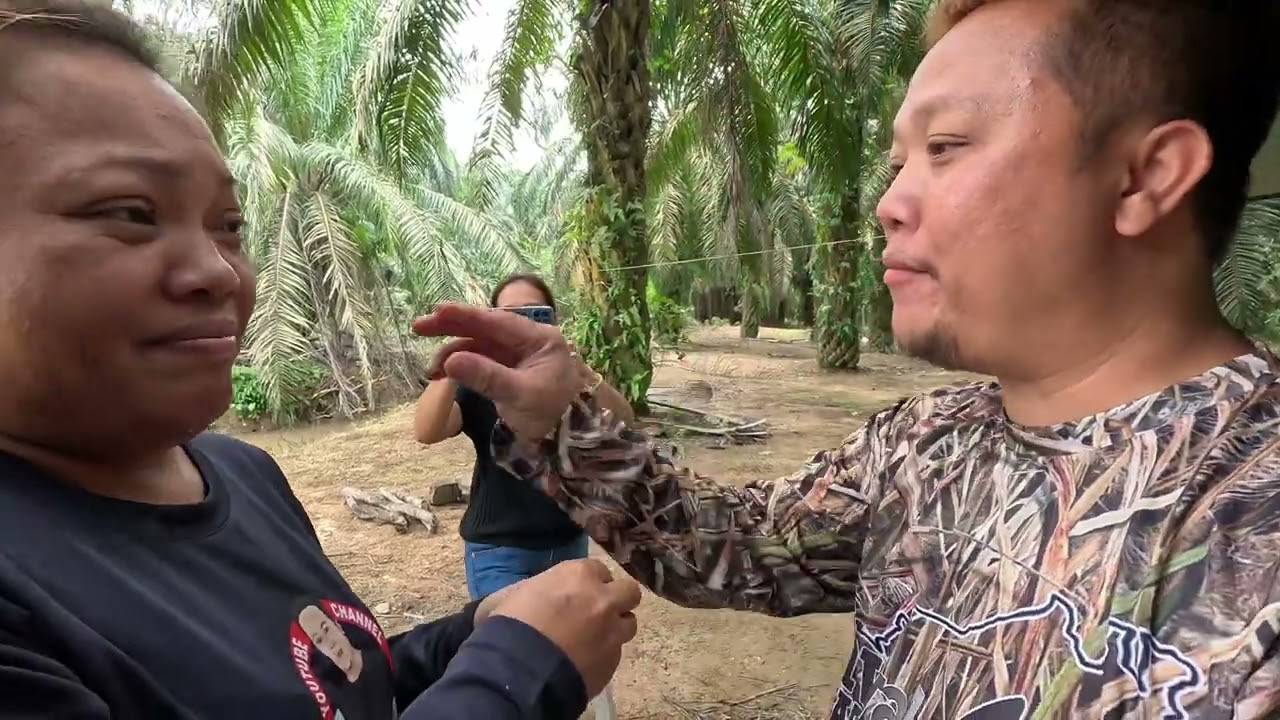 Camping Di Hutan Sawit // Menjala,Memukat // Cari Lauk Segar //