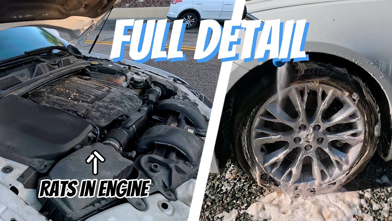 Engine Bay & Exterior Deep Cleaning - Jaguar XF