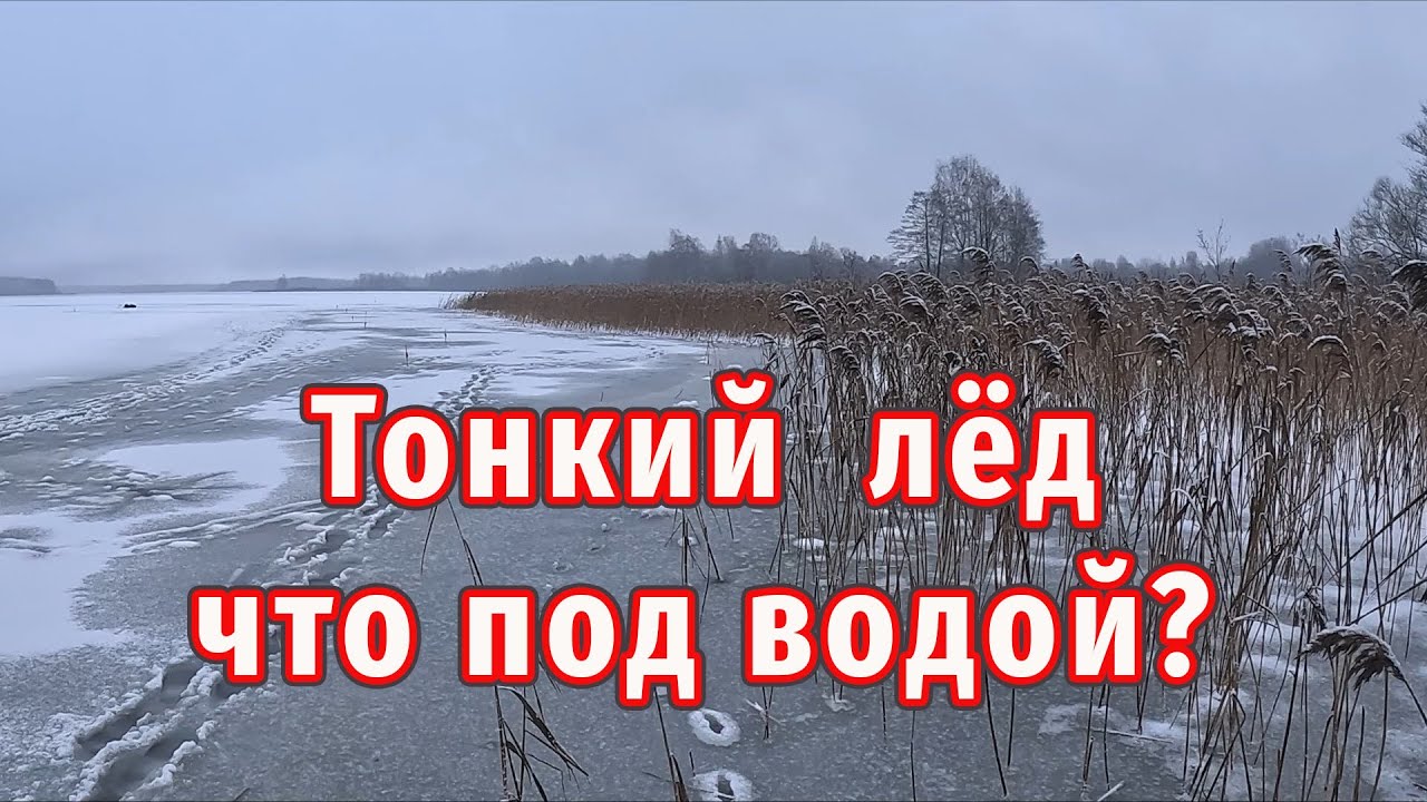 Что происходит подо льдом зимой?