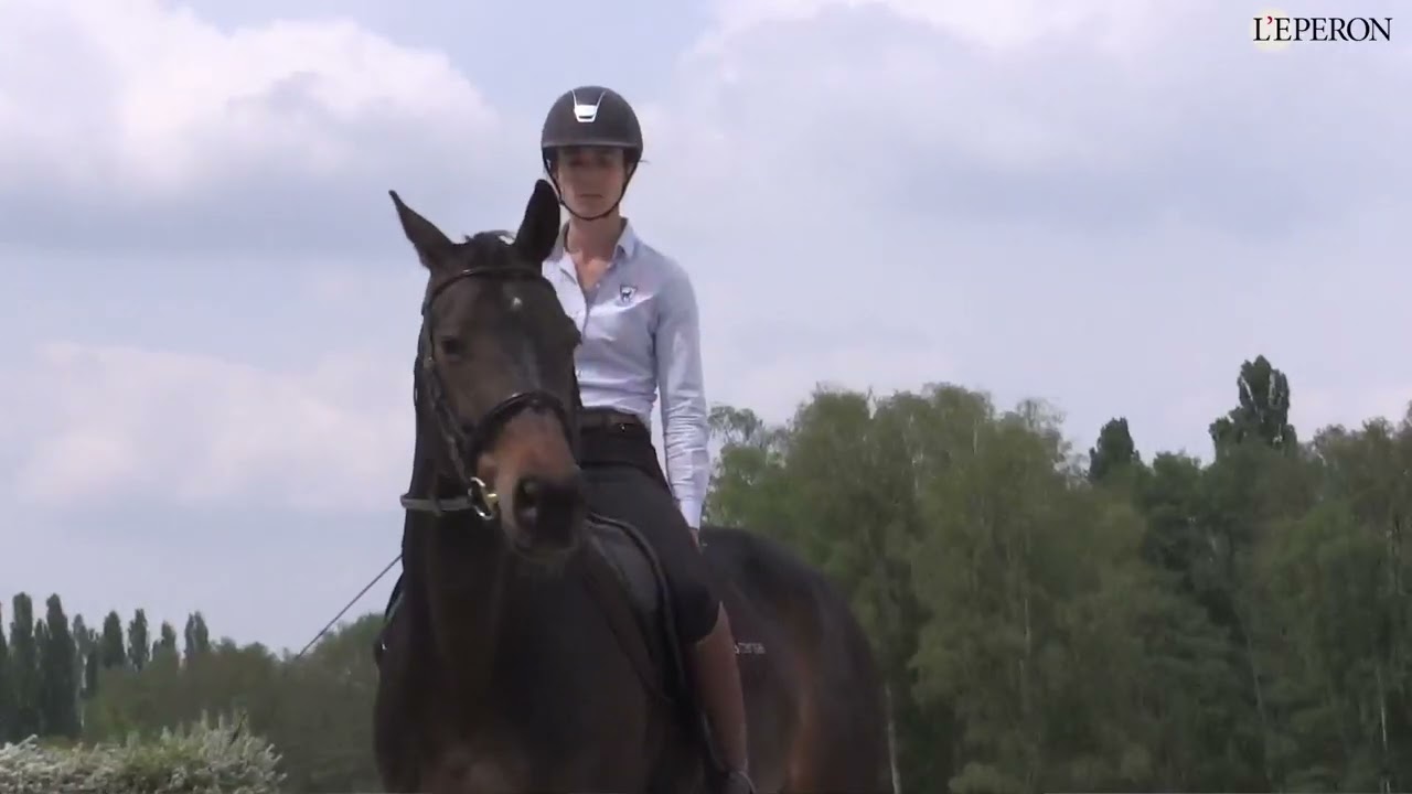 En pratique avec Caroline Godin #4 | Dressage et apprentissage