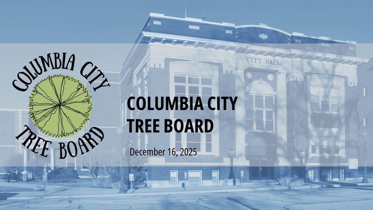 Tree Board, December 16, 2025
