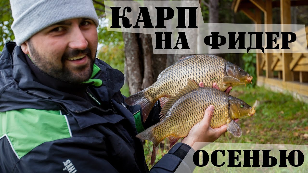Ловля карпа на фидер поздней осенью. Прикормка, тактика : Рыболовный дневник