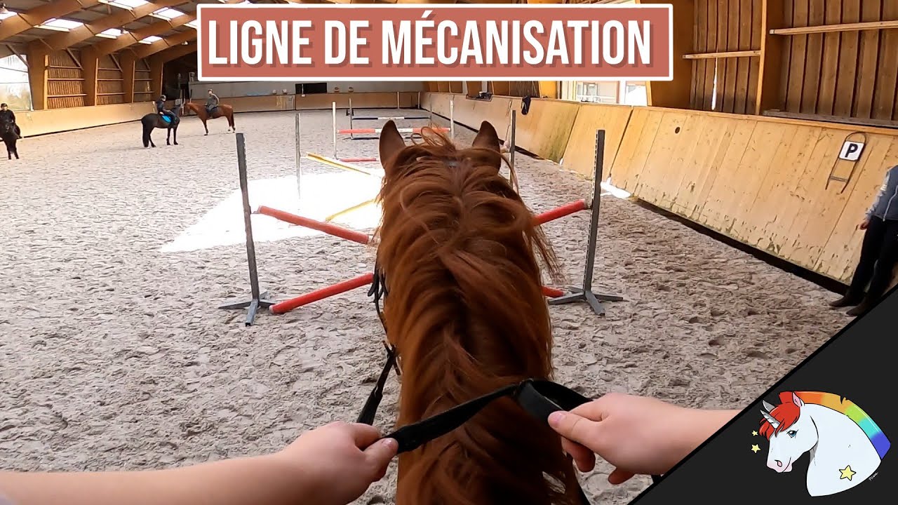 COURS D'OBSTACLE AVEC BENY 🐴 Il est géant ! 😅